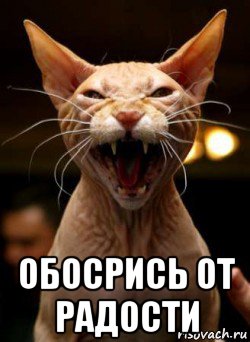  обосрись от радости
