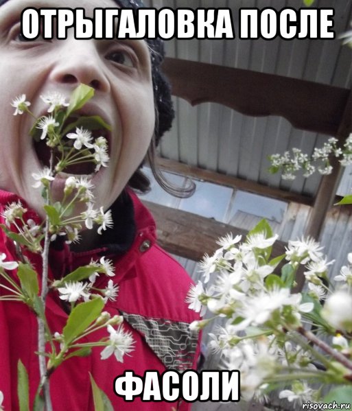 отрыгаловка после фасоли, Мем Insects bugs