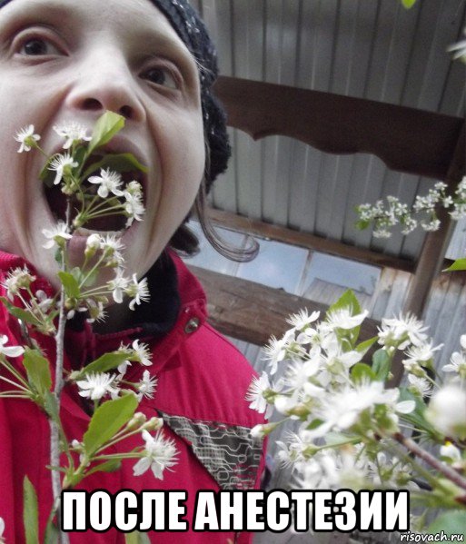  после анестезии, Мем Insects bugs