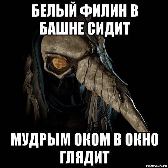 белый филин в башне сидит мудрым оком в окно глядит