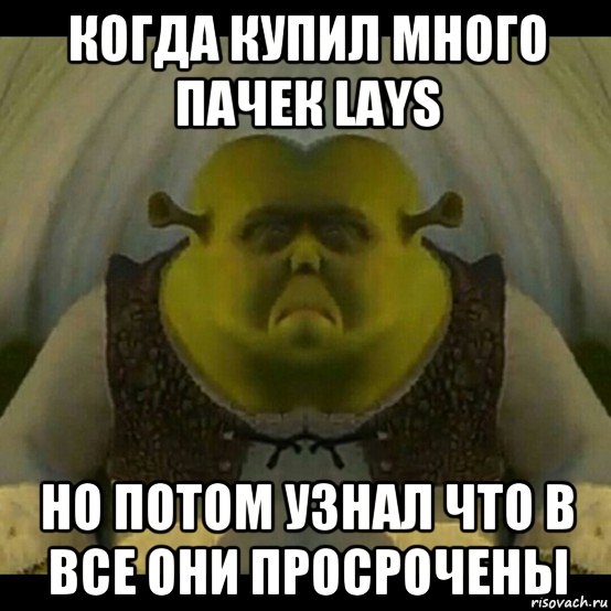 когда купил много пачек lays но потом узнал что в все они просрочены