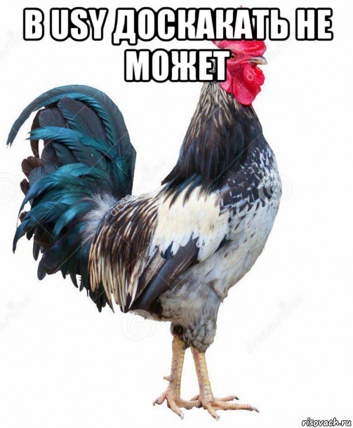 в usy доскакать не может 