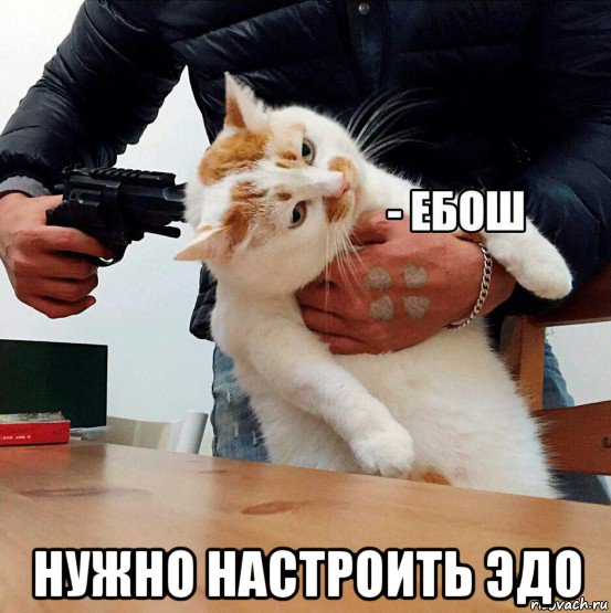  нужно настроить эдо