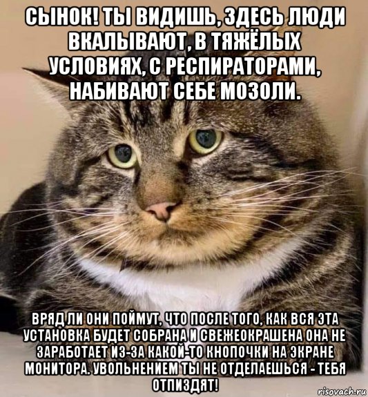 сынок! ты видишь, здесь люди вкалывают, в тяжёлых условиях, с респираторами, набивают себе мозоли. вряд ли они поймут, что после того, как вся эта установка будет собрана и свежеокрашена она не заработает из-за какой-то кнопочки на экране монитора. увольнением ты не отделаешься - тебя отпиздят!, Мем Кот-укорятор