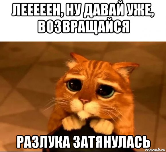 лееееен, ну давай уже, возвращайся разлука затянулась, Мем Кот