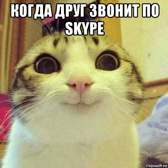 когда друг звонит по skype , Мем       Котяка-улыбака