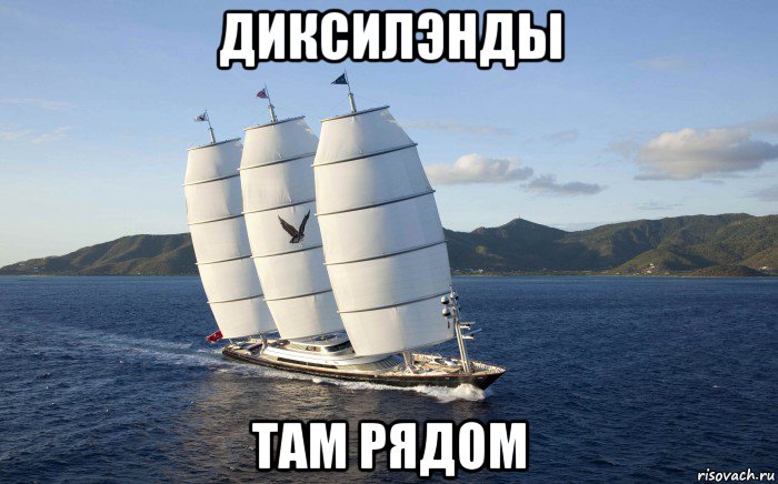 диксилэнды там рядом, Мем Maltese Falcon