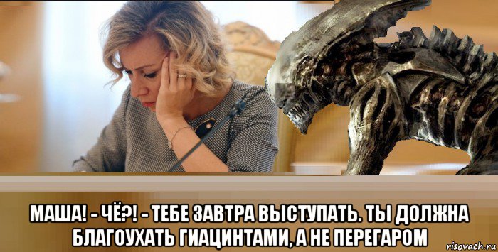  маша! - чё?! - тебе завтра выступать. ты должна благоухать гиацинтами, а не перегаром, Мем Мария Захарова