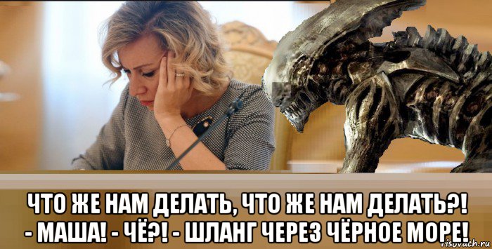  что же нам делать, что же нам делать?! - маша! - чё?! - шланг через чёрное море!, Мем Мария Захарова