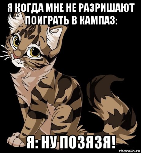 я когда мне не разришают поиграть в кампаз: я: ну позязя!, Мем МИМИ