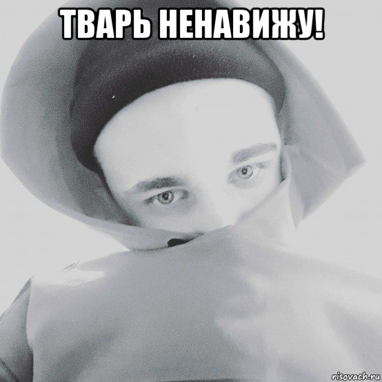тварь ненавижу! , Мем Моисеев