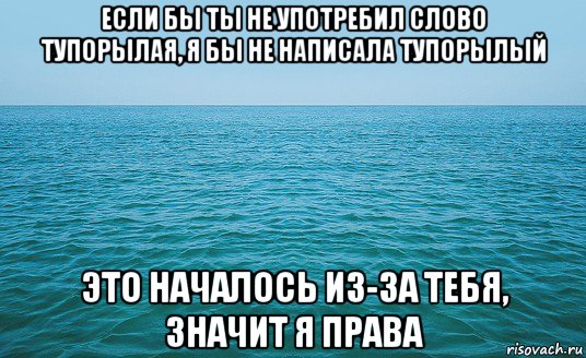 если бы ты не употребил слово тупорылая, я бы не написала тупорылый это началось из-за тебя, значит я права, Мем Море