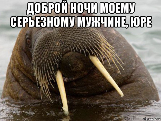 доброй ночи моему серьезному мужчине, юре 
