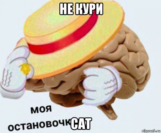 не кури cat