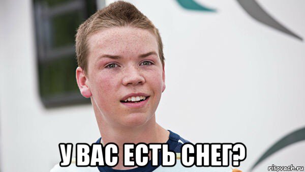  у вас есть снег?, Мем Мы миллеры