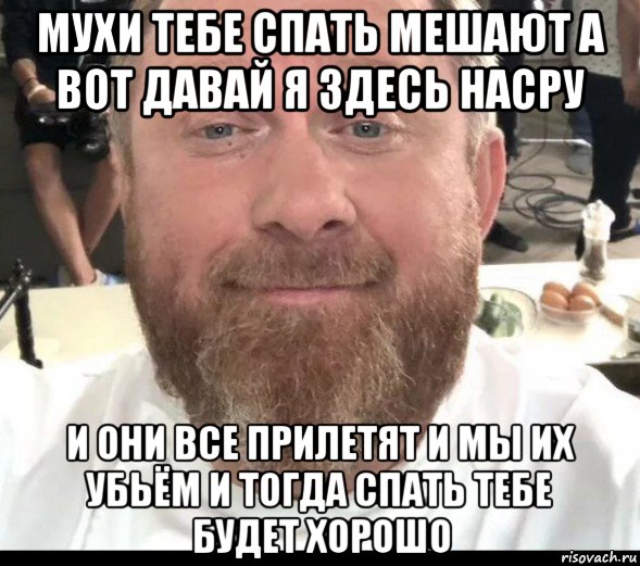 мухи тебе спать мешают а вот давай я здесь насру и они все прилетят и мы их убьём и тогда спать тебе будет хорошо, Мем На хуях