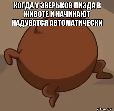 когда у зверьков пизда в животе и начинают надуватся автоматически , Мем Надутые зверьки