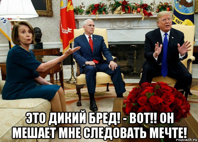  это дикий бред! - вот!! он мешает мне следовать мечте!, Мем Nancy Pelosi