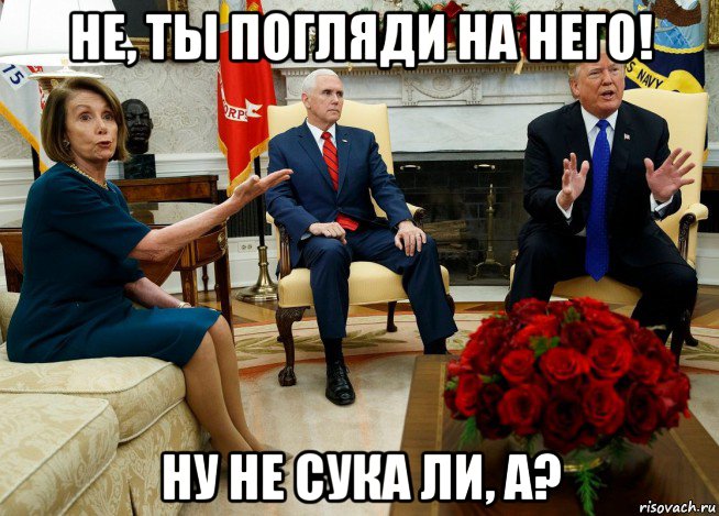 не, ты погляди на него! ну не сука ли, а?