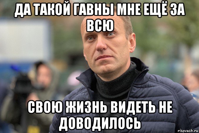 да такой гавны мне ещё за всю свою жизнь видеть не доводилось, Мем Навальный лицо дебила