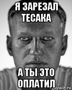 я зарезал тесака а ты это оплатил