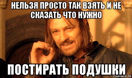 нельзя просто так взять и не сказать что нужно постирать подушки, Мем Нельзя просто так взять и (Боромир мем)