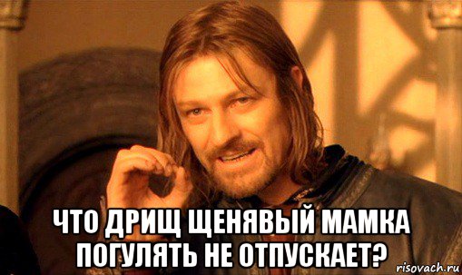  что дрищ щенявый мамка погулять не отпускает?, Мем Нельзя просто так взять и (Боромир мем)