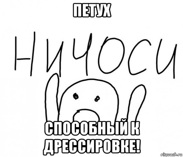 петух способный к дрессировке!, Мем  Ничоси