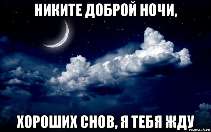 никите доброй ночи, хороших снов, я тебя жду