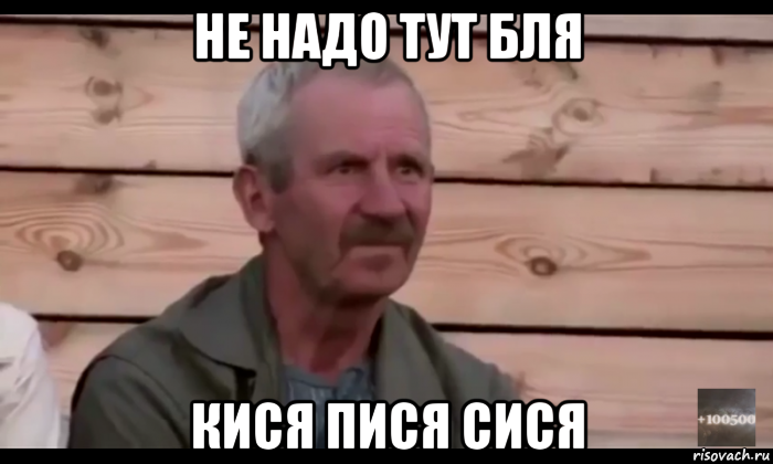 не надо тут бля кися пися сися, Мем  Охуевающий дед