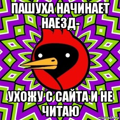 пашуха начинает наезд- ухожу с сайта и не читаю, Мем Омская птица