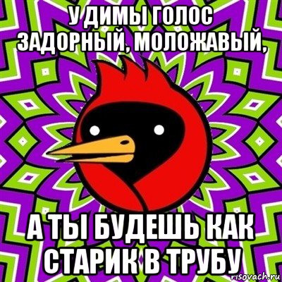 у димы голос задорный, моложавый, a ты будешь как старик в трубу, Мем Омская птица