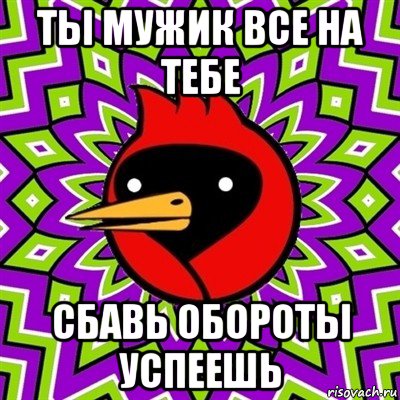 ты мужик все на тебе сбавь обороты успеешь, Мем Омская птица