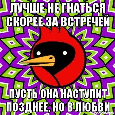 лучше не гнаться скорее за встречей пусть она наступит позднее, но в любви, Мем Омская птица