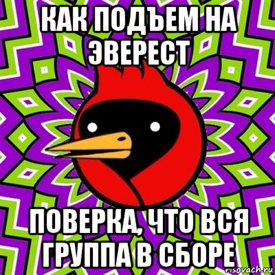 как подъем на эверест поверка, что вся группа в сборе, Мем Омская птица