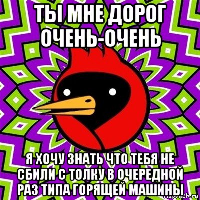 ты мне дорог очень-очень я хочу знать что тебя не сбили с толку в очередной раз типа горящей машины, Мем Омская птица