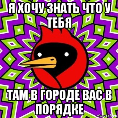 я хочу знать что у тебя там в городе вас в порядке