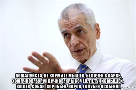  пожалуйста, не кормите мышек, белочек в парке, хомячков, бурундучков, крысочек, летучих мышей, кошек, собак, воробьев, ворон, голубей особенно, Мем Онищенко