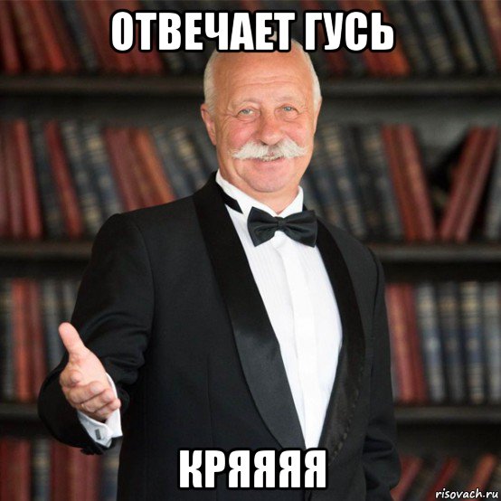 отвечает гусь кряяяя, Мем Отвечает Александр Друзь