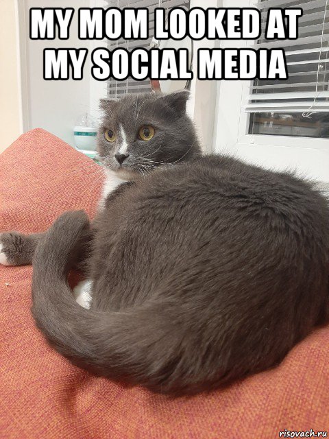 my mom looked at my social media , Мем Пашуха 7