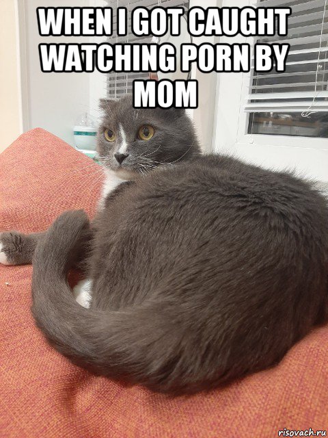 when i got caught watching porn by mom , Мем Пашуха 7