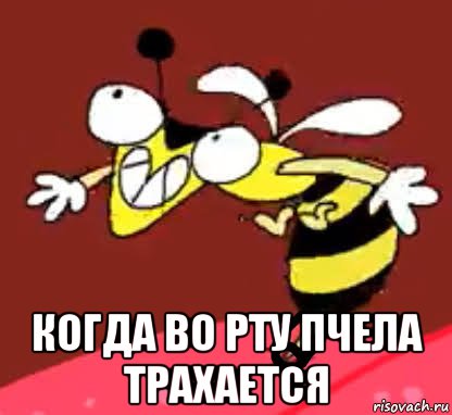  когда во рту пчела трахается, Мем Пчела и язык