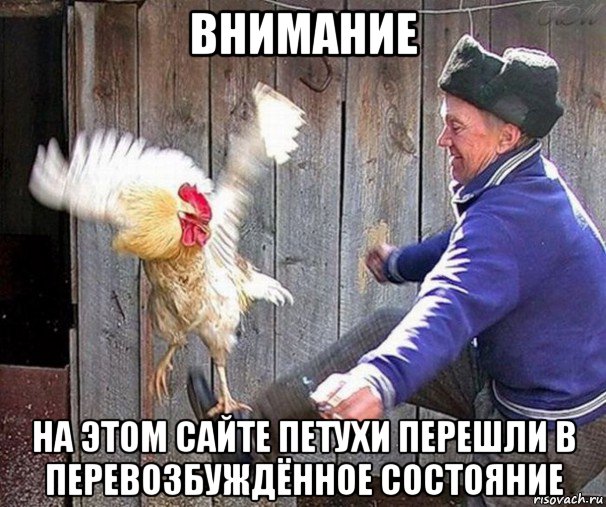 внимание на этом сайте петухи перешли в перевозбуждённое состояние