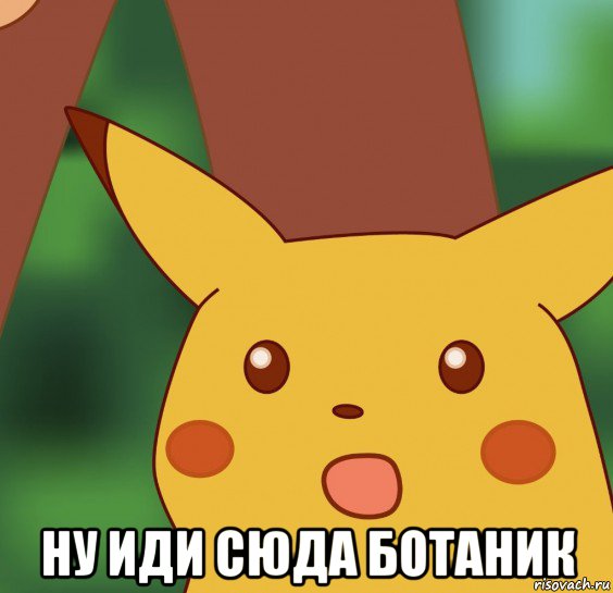  ну иди сюда ботаник
