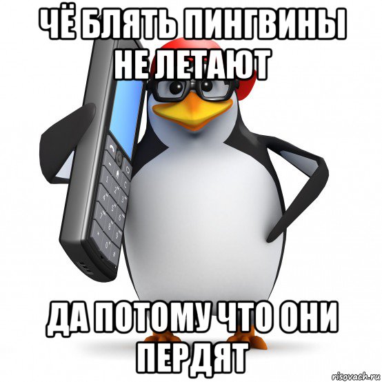 чё блять пингвины не летают да потому что они пердят, Мем   Пингвин звонит