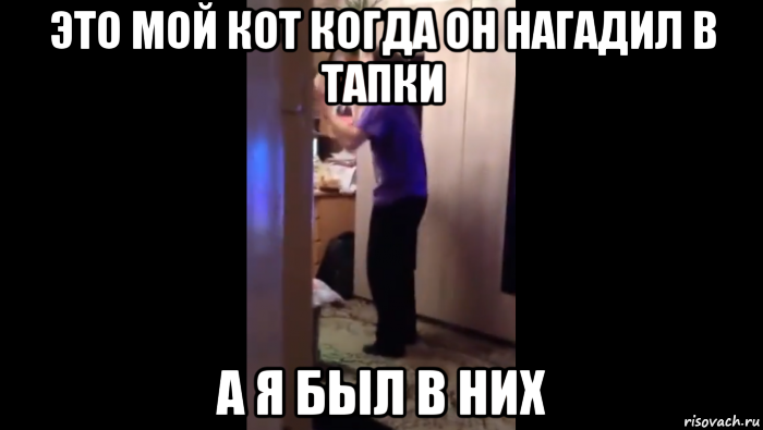 это мой кот когда он нагадил в тапки а я был в них, Мем Почему едет он а не я