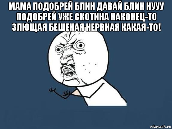 мама подобрей блин давай блин нууу подобрей уже скотина наконец-то злющая бешеная нервная какая-то! , Мем  почему мем