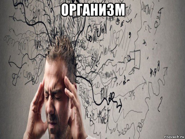 организм , Мем Поисковичок