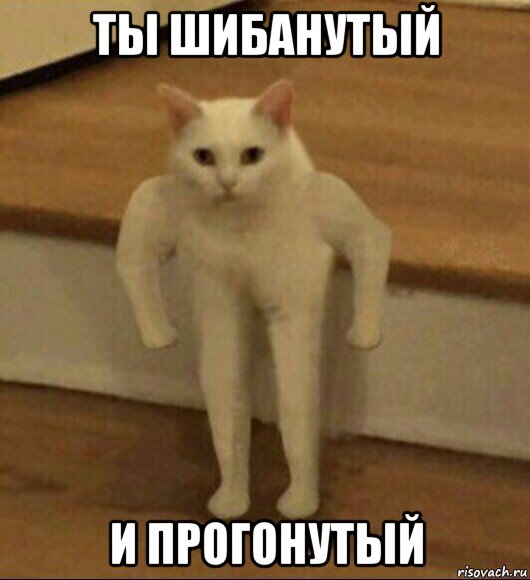 ты шибанутый и прогонутый