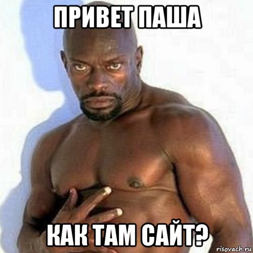 привет паша как там сайт?, Мем Привет паша